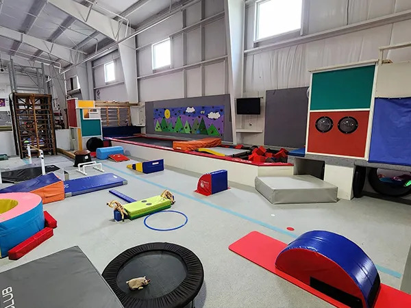 Applications of idoneitatem mollis packaging