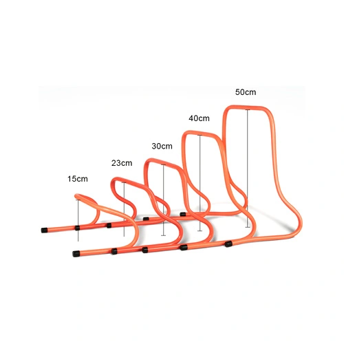 Morbi Training Hurdles