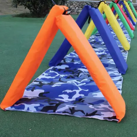 Versatile Mollis Scala